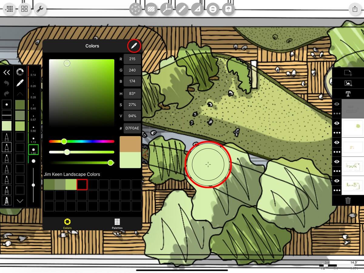 Custom Color Palettes